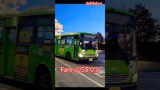 Rogi Bus Fare 💚💚 버스 요금 비교 [upl. by Odericus579]