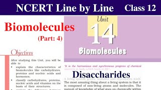 Disaccharides  Biomolecules Class 12 Chemistry  disaccharides sucrose lactose maltose ncert chem [upl. by Seema]