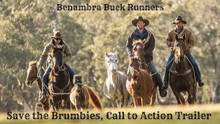 Save the Brumbies Documentary Pitch Film [upl. by Ikcir]