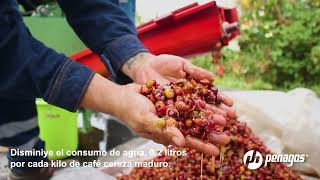 Unidad de Beneficio Ecológico de Café  Ecoline 1000 [upl. by Sonafets]