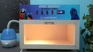 Best Bird Brooder and Incubator  US Animal World [upl. by Borlase358]