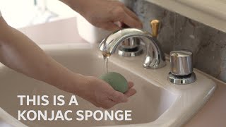 How To Use A Konjac Sponge [upl. by Vasos]