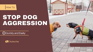 How to stop Dog Aggression quickly And easily  In a few steps [upl. by Jillian698]