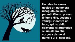 L’assassino  FAVOLE DI ESOPO  Voce e Videomaker M M Orlandi [upl. by Dore]