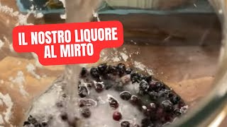 Come fare il LIQUORE 🥃 al MIRTO fatto in casa [upl. by Dilks]