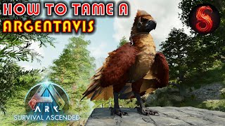 ARK SURVIVAL ASCENDED HOW TO TAME A ARGENTAVIS [upl. by Ardnola216]