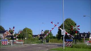 Spoorwegovergang Uithuizen  Dutch railroad crossing [upl. by Egdamlat94]