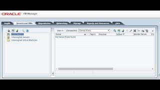 Install Oracle VM Manager [upl. by Ivo]