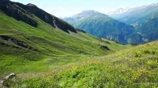 Grossglockner Hochalpenstrasse Über die blühenden Berge nach Heiligenblut in Kärnten [upl. by Anen558]