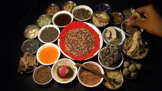 Stage 4 Stomach Cancer Ayurvedic Rejuvenating Drugs Research by Pankaj Oudhia [upl. by Osugi]