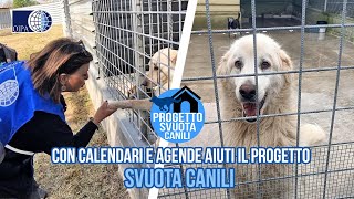 CON IL CALENDARIO E L’AGENDA OIPA 2024 AIUTI IL PROGETTO “SVUOTA CANILI” DELL’OIPA DI NAPOLI [upl. by Loy]