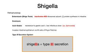 Shigella [upl. by Adnala]