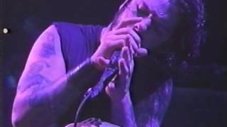 Pantera 1996 Live  WalkThis Love HQ [upl. by Chrystal]