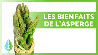 BIENFAITS des ASPERGES 💚 Propriétés Comment les Manger et Contreindications [upl. by Wilinski]