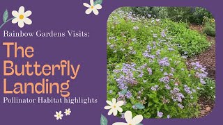 The Butterfly Landing Pollinator Habitat Highlights [upl. by Kyle]