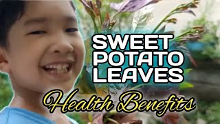 BEST SWEET POTATO LEAVES HEALTH BENEFITS katatayvlog sweetpotato parenting [upl. by Annehsat]