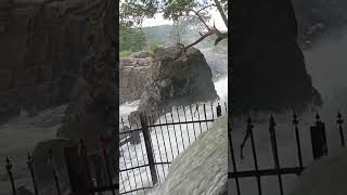 hogenakkal falls in Tamil Nadu dharmavaram district 🌊 [upl. by Waxman]