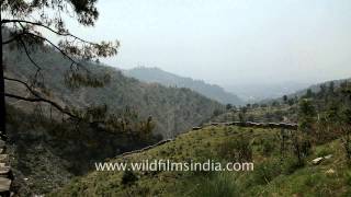 View of Dharamshala valley from McLeod Ganj [upl. by Anoed]