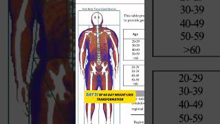 Day 31 Dexa Scan inBody Scan [upl. by Ahtnama]