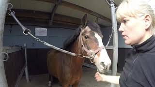 Vlog 12 Hippisch Centrum Hoeksche Waard [upl. by Adaminah]