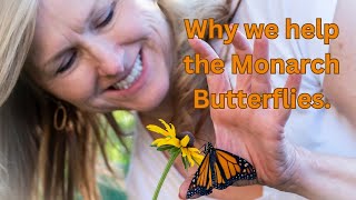 Help the Monarch Butterflies [upl. by Ollie627]