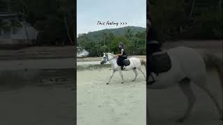 This feeling🥰 op het strand galopperen met Snow in Thailand😍😘🐎 [upl. by Artima803]