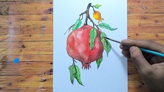 How to Draw Pomegranate watercolour painting  Watercolour Pomegranate Painting [upl. by Tergram]