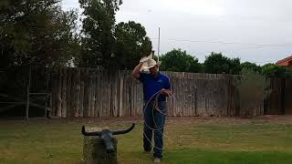 Roping Tips with John Bilovesky of Patriot Ropes Neck Shot [upl. by Brent98]