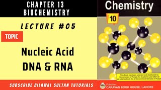 Lecture 5 Nucleic Acids DNA amp RNA  All Punjab Boards Federal Board KP Board [upl. by Warford]