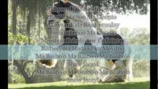 Buseel Khadra Silimo lyrics ka saxda ah [upl. by Tychon]