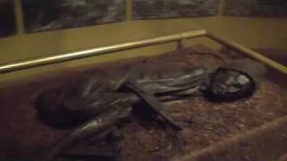 Action Thriller Author James Rollins tour the Tollund Man Peat Bog [upl. by Staford664]