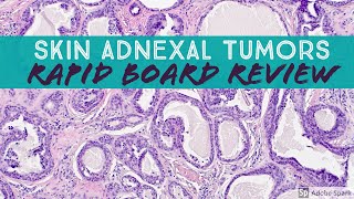 Skin Adnexal Tumors Dermpath Board Review for Dermatology Pathology amp Dermpath [upl. by Anitsihc]