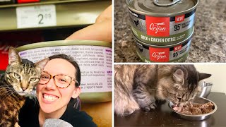 Orijen has wet cat food Lets review it [upl. by Phox]