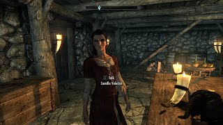 Wives of Skyrim  Improved Spouses Official Showcase [upl. by Ecad869]