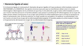 15102024  CLASE 47  BIOLOGIA  MEDICINA UNC  NOVIEMBRE 2024 [upl. by Schramke]