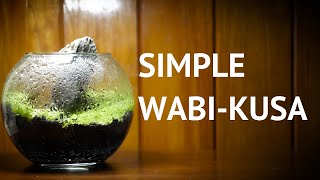 Nano WabiKusa  Step by Step [upl. by Ennaitak]