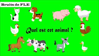 【Bruits de FLE】 Quel est cet animal  les animaux domestiques [upl. by Ayotas803]