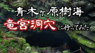 心霊スポット 青木ヶ原樹海【竜宮洞穴】パワースポット【ソロ活動】 quotAokigahara Jyukaiquot at the foot of Mt Fuji [upl. by Acinod505]