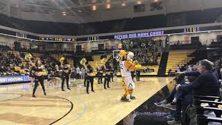 Towson Tigers Mascot DANCE [upl. by Nertie]