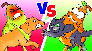 CHIEN VS CHAT  Choses Amusantes Que Font les Animaux de Compagnie [upl. by Silvio498]