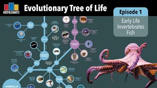 Evolutionary Tree of Life  Episode 1  Early Life Invertebrates amp Fish [upl. by Sedgewake]