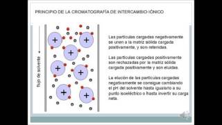 cromatografia de intercambio ionico [upl. by Ekim]