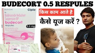 budecort 05 mg respules  budecort 05 mg respules for baby  budecort 05 mg respules uses [upl. by Jean]