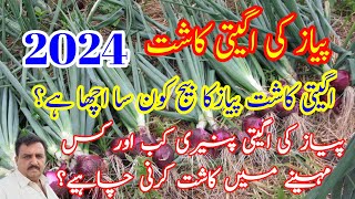 Onion Nursery and jadeed farming  Onion farming  Onion cultivation Pyaz ki kashtGrowing onions [upl. by Salli482]