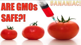 Are GMOs Safe  Dr T Colin Campbell [upl. by Mchugh]