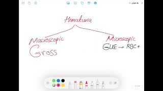 Urinary tract injury  P2  Uretric Injury [upl. by Ynnam566]