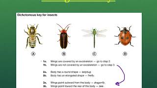 Unit 2 How to Use a Dichotomous Key [upl. by Astto186]