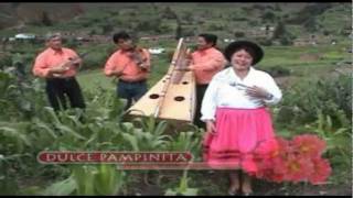 Dulce pampinita  TEMA itañachay [upl. by Adnawed]