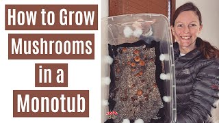 How to Grow Mushrooms in a Monotub [upl. by Atiniv]