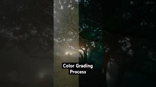 How I Color Grade My Videos [upl. by Mya]